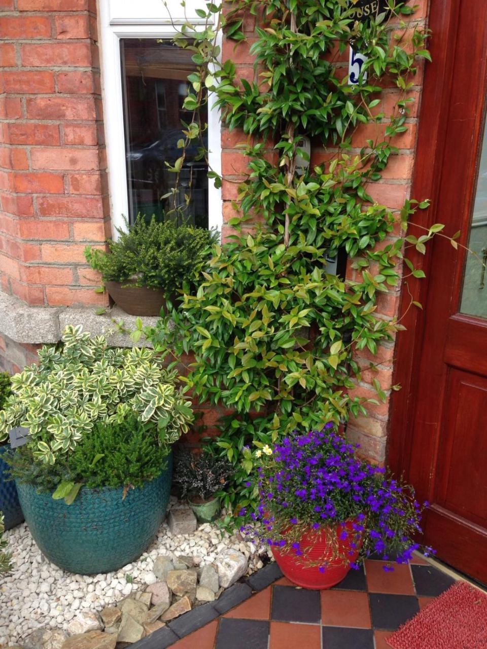 Acara House B&B Dublin Exteriér fotografie